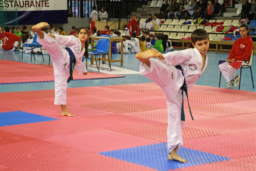 Taekwondo Dic 2016 (217).jpg